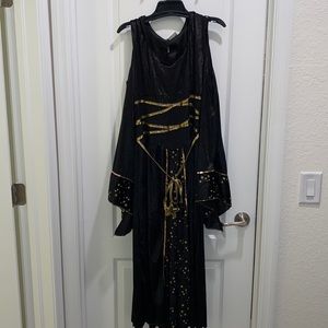 Hyde & Eek Black Velvet Witch Costume | L
